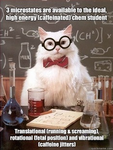 Chemistry Cat