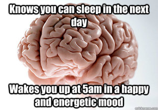 Scumbag Brain