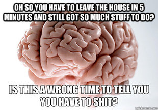 Scumbag Brain
