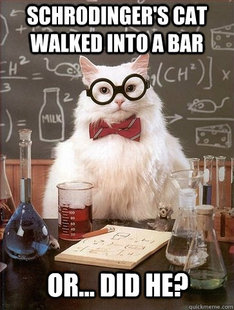Chemistry Cat