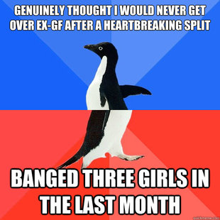 Socially Awkward Awesome Penguin