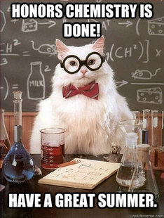 Chemistry Cat