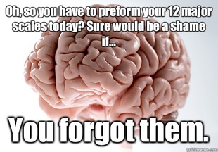Scumbag Brain