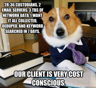 Lawyer Dog