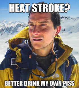 Bear Grylls