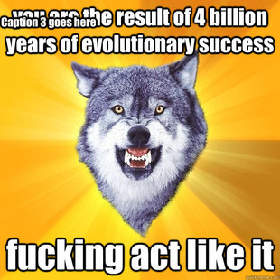 Courage Wolf