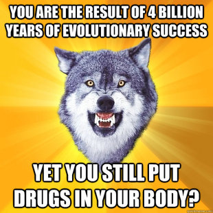 Courage Wolf