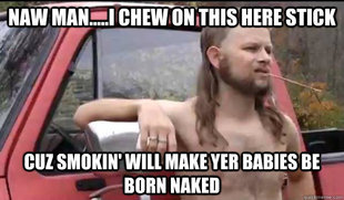 Almost Politically Correct Redneck