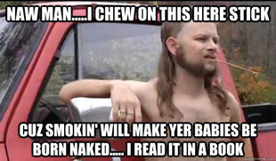 Almost Politically Correct Redneck