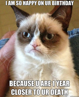 Grumpy Cat