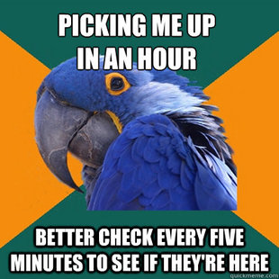 Paranoid Parrot