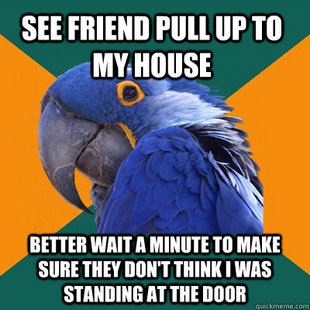 Paranoid Parrot