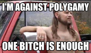 Almost Politically Correct Redneck