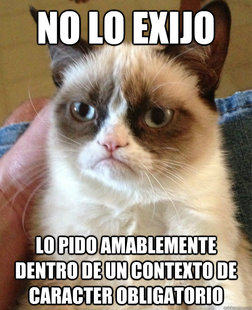Grumpy Cat