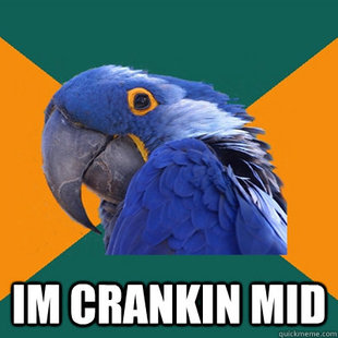 Paranoid Parrot
