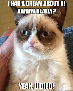 Grumpy Cat