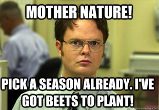 Schrute