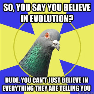 Religion Pigeon