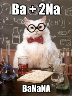 Chemistry Cat