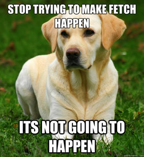 Dog Logic
