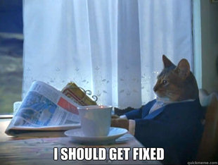 The One Percent Cat