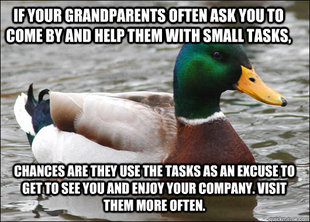Actual Advice Mallard