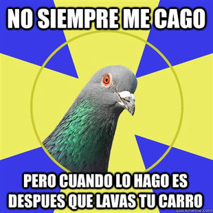 Religion Pigeon
