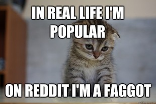 Sad Kitten