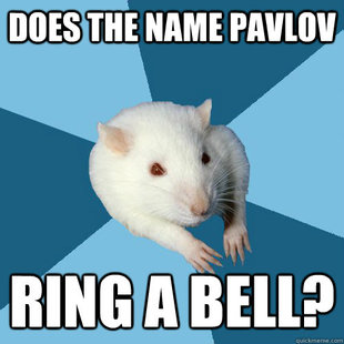 Psychology Major Rat