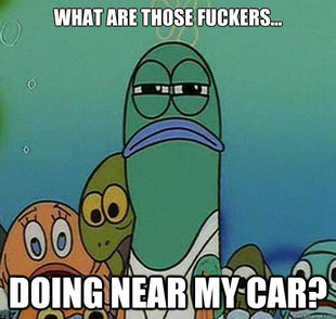 Serious fish SpongeBob