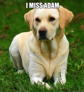 Dog Logic