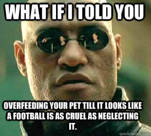 Matrix Morpheus