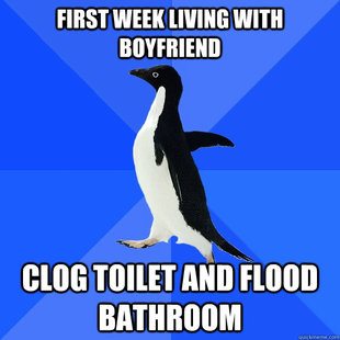 Socially Awkward Penguin