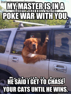 Deal with it dawg