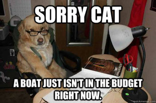 Financial Advice Dog