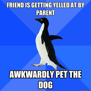 Socially Awkward Penguin