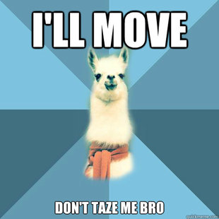 Linguist Llama