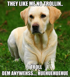 Dog Logic