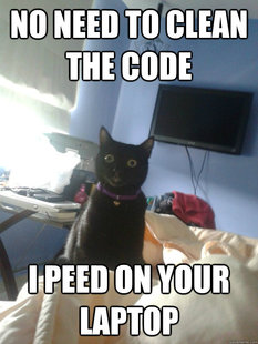 overly attached cat