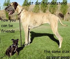 Friends