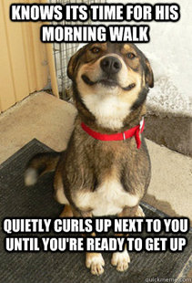 Good Dog Greg