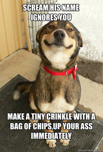 Good Dog Greg