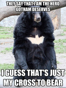 Batman Bear