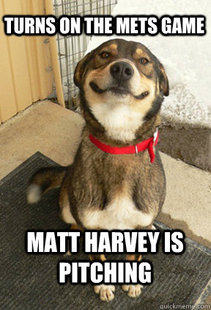 Good Dog Greg