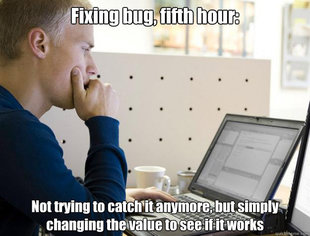 Programmer