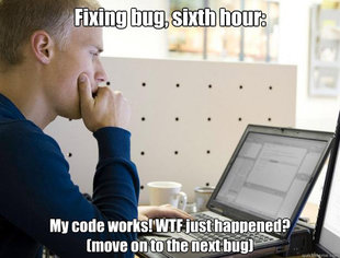 Programmer
