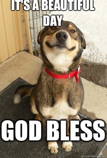 Good Dog Greg