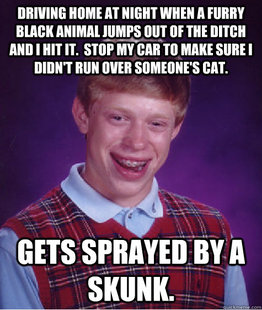 Bad Luck Brian