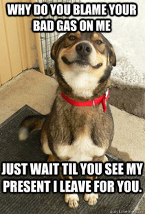 Good Dog Greg