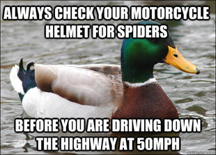 Actual Advice Mallard